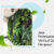 Jasa-Pembuatan-Vertical-Garden-Denpasar